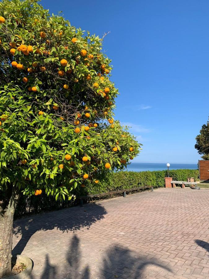 Vigna Sul Mare Apartment มารีนา ปัลเมนเซ ภายนอก รูปภาพ